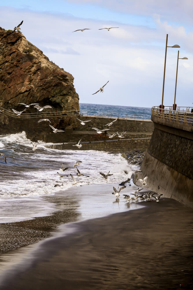 Top 5 Things to Do with Kids in Ilfracombe: From Beaches to Marine Adventures